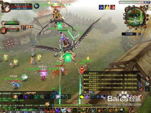 仙禽法定属性以及在战斗中如何使用密技