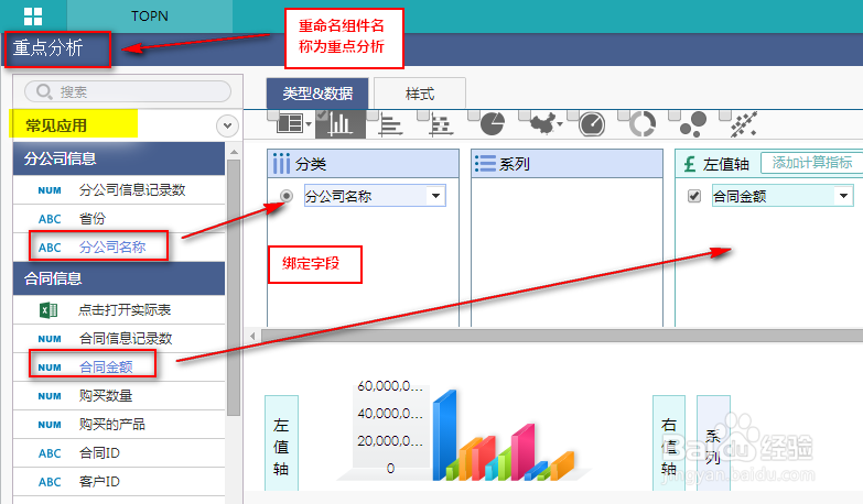 数据可视化工具如何使用topn重点分析