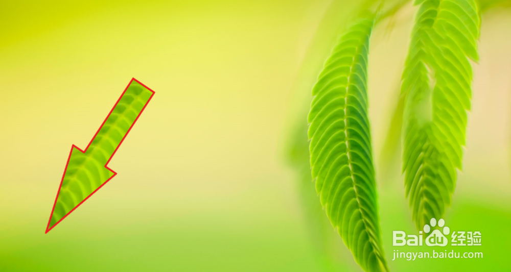 Windows10电脑画图3D绘制的图片有灰色边缘