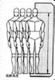 人体工程学——人体与室内