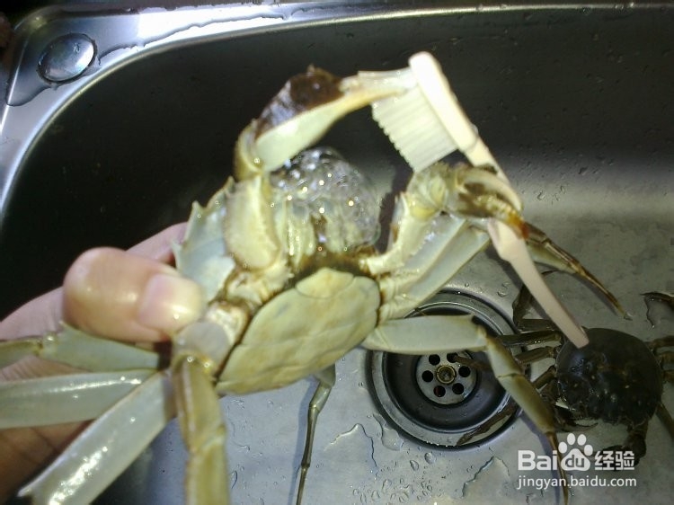 蒸螃蟹的卫生又好吃的小窍门。