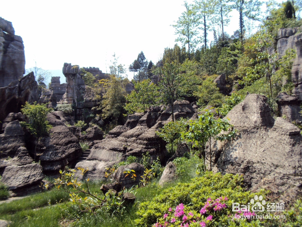 怎么在重庆玩得尽兴