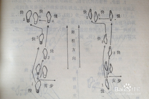 交际舞中探戈的基本舞步有哪些