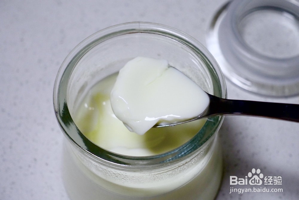 小白也能做脱脂奶粉酸奶