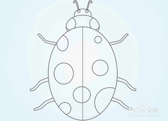 如何绘制瓢虫