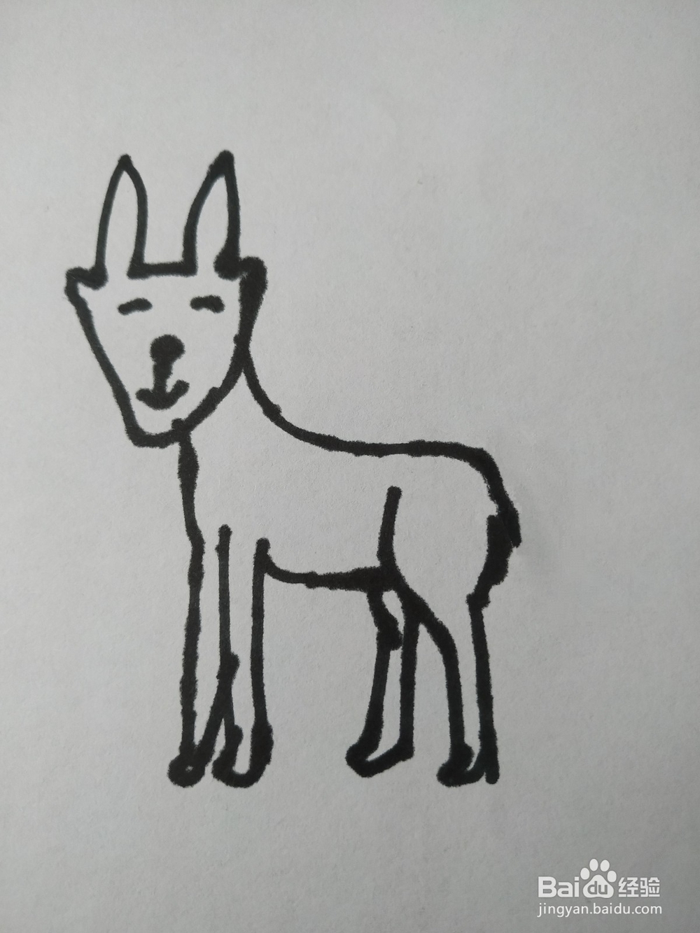藏羚羊简笔画怎么画？怎么画藏羚羊的呢？