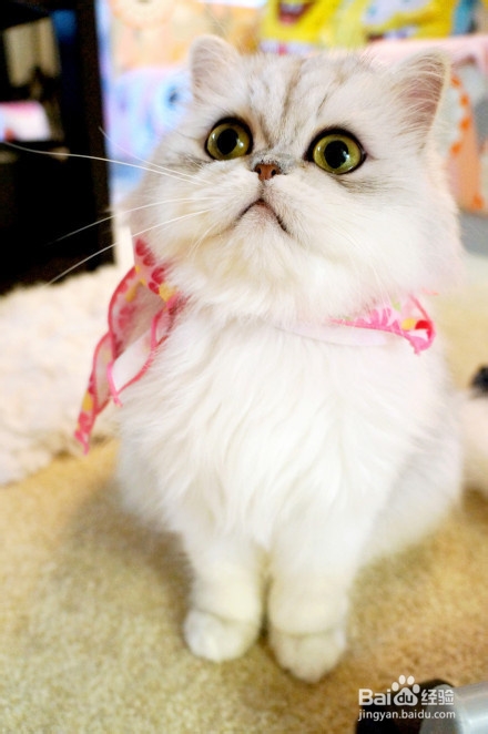 白手起家的方法