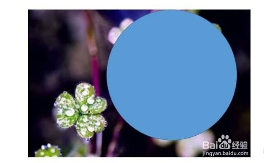 在ppt中如何改变插入图片形状的方法