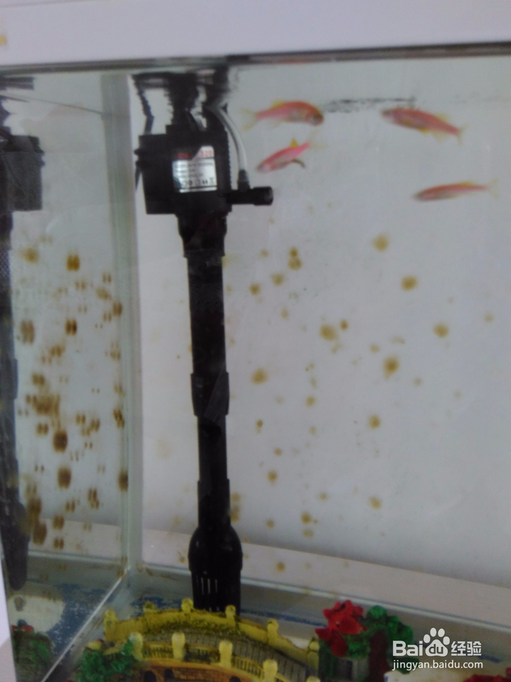 鱼缸的自动清洗方法,省时省力。