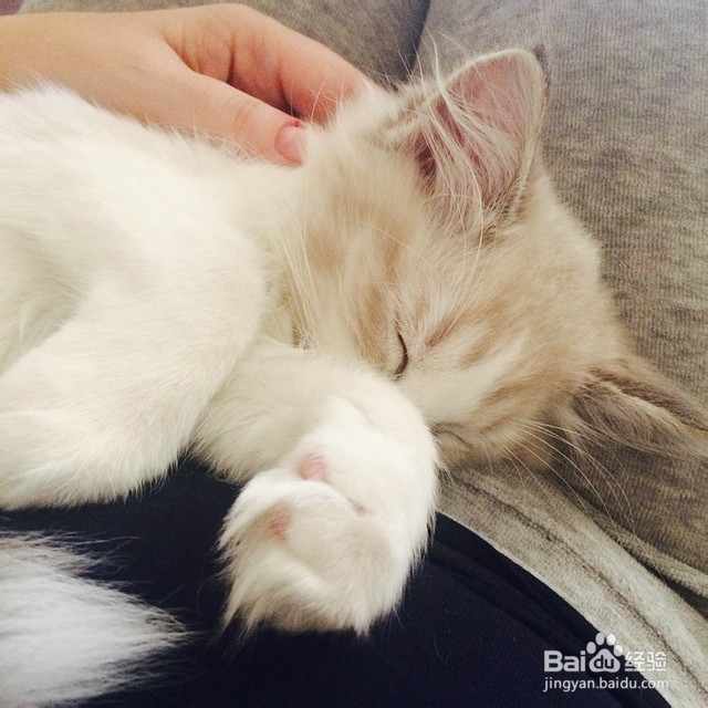 Show you how to Be Nice to a Girl