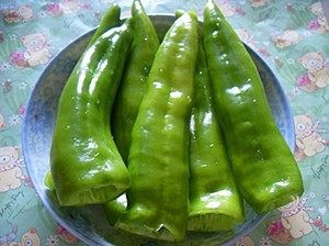 青椒塞肉做法大全