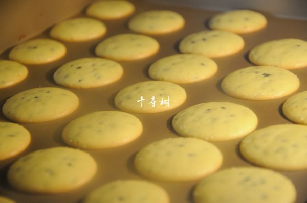 黑芝麻鸡蛋瓦片饼干