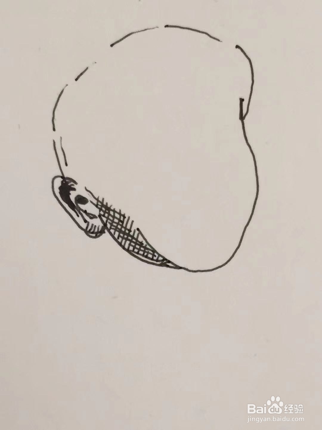 插画教程之苏格兰男孩乔治