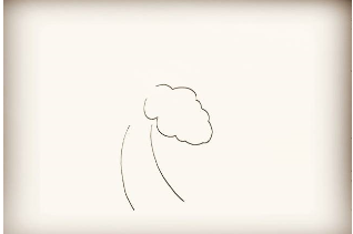 如何画简笔画椰子树?