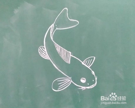 鱼的画法教程（11）怎么画，如何画鱼？画鱼方法
