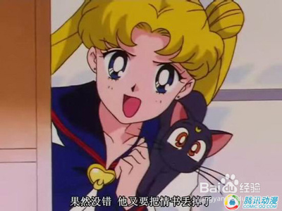 盘点动漫中的十大名猫