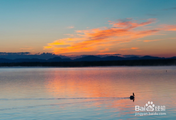 美国黄石公园自驾游需要注意哪些东西?