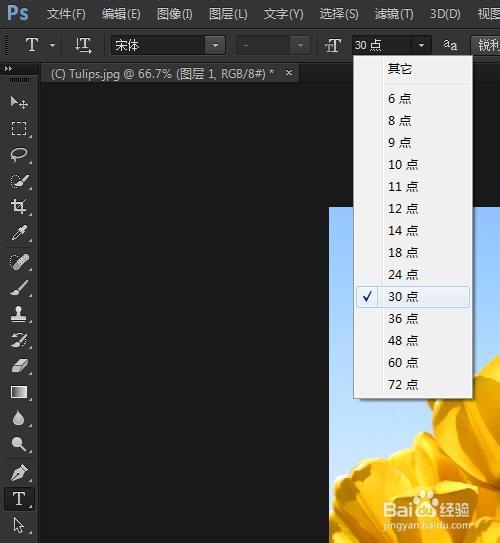[PS初级零基础]如何用PHOTOSHOP给图片添加文字