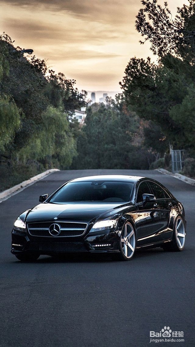 新车除味最有效方法