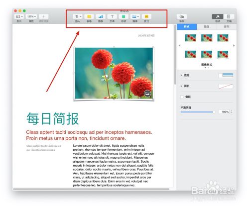 Pages文稿中的"杂志简报"模板如何使用