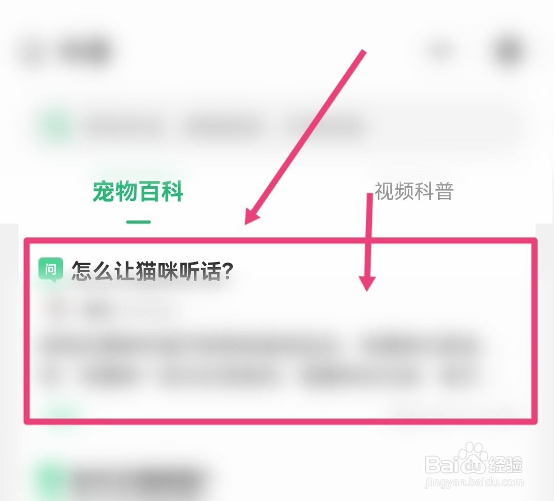 如何驯服猫咪