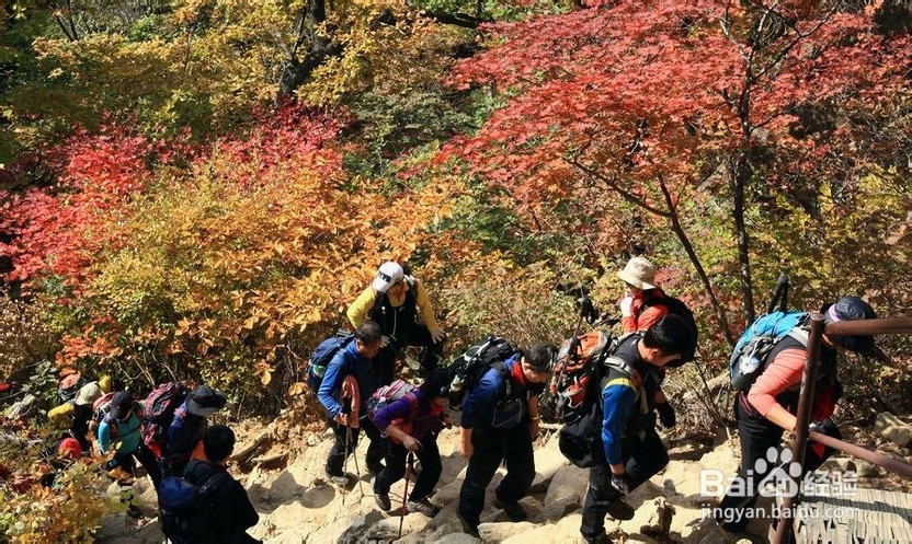 如何科学的爬山