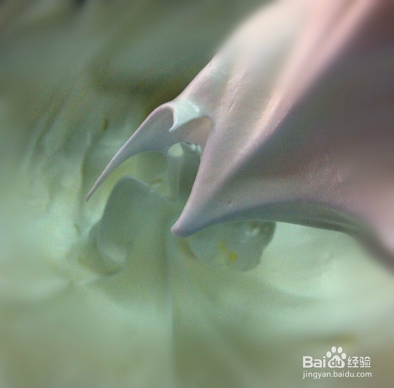 巧克力戚风蛋糕的做法 海绵蛋糕 烤箱烤蛋糕