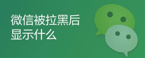 微信被拉黑后显示什么