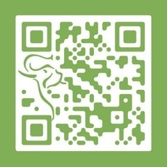 怎么生成二维码?