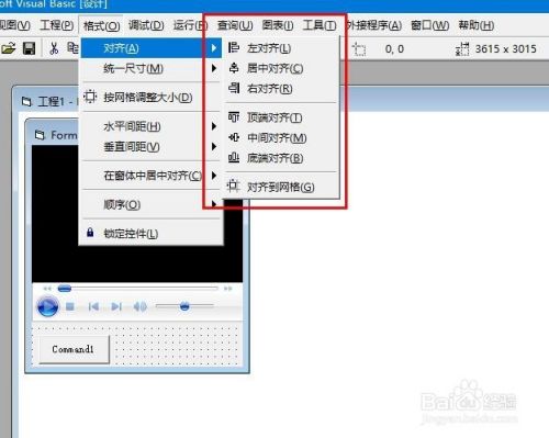 在VB中，如何使用WindowsMediaPlayer控件