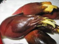 憨态可掬的冒三鲜炒芫荷的做法