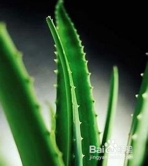 纯天然美白面膜 有效又实惠