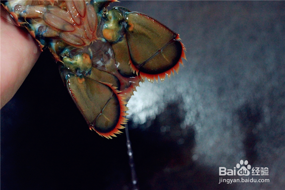 超级过瘾的奶香龙虾伊面