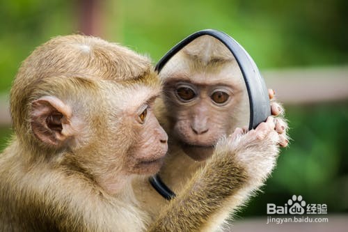 八条黄金定律，改变自己穷忙的人生。