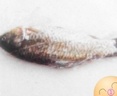刮鱼鳞的小妙招