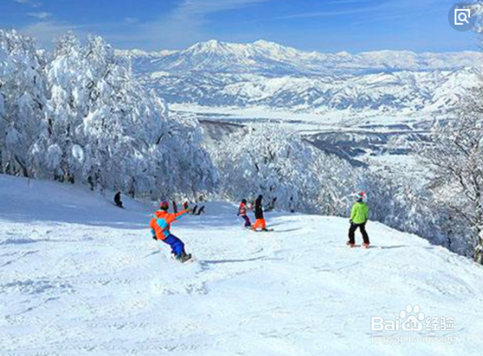 留寿都滑雪场怎么到洞爷湖