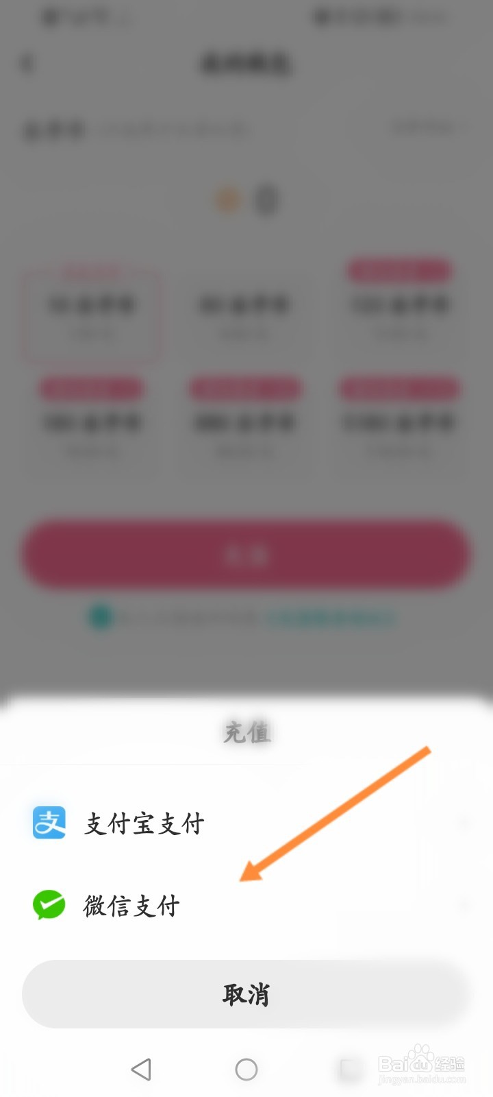 LOFTER软件怎么进行充值