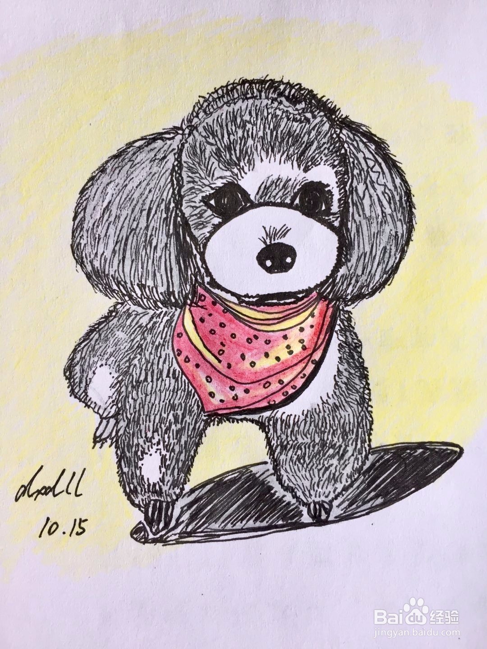 茉莉彩铅手绘之萌宠泰迪