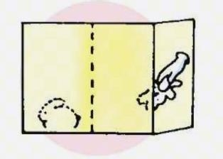 简单易学的小魔术——纸兔变活兔