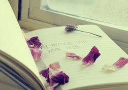 英语四六级对考研有影响吗