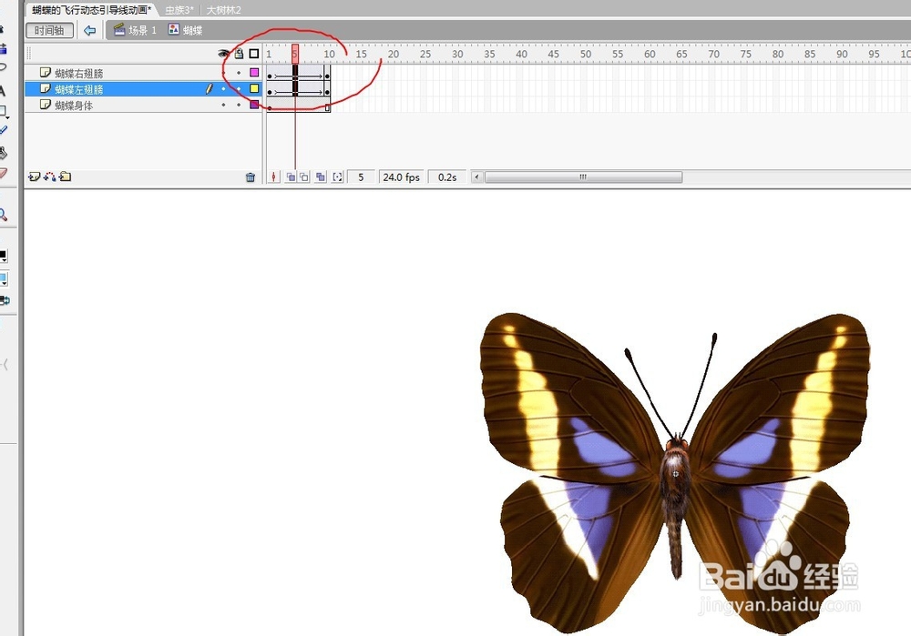 flash用蝴蝶做引导线动画的教程