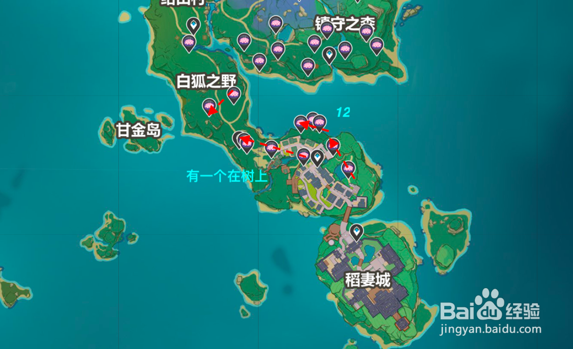 原神绯樱绣球采集路线大全