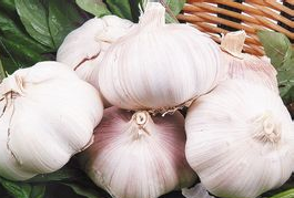 夏季防止蚊虫叮咬大全