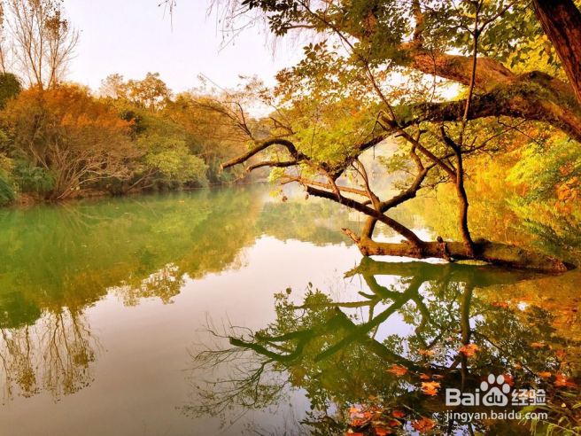 手机拍摄图片之最重要的构图