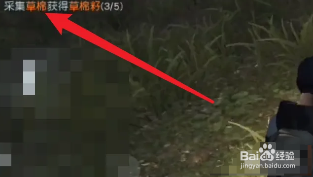 黎明觉醒草棉怎么获得