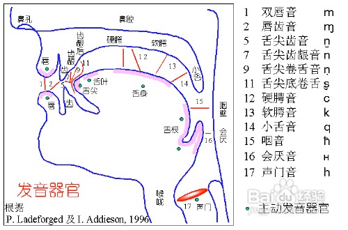 怎样做才能发音吐字清晰-百度经验