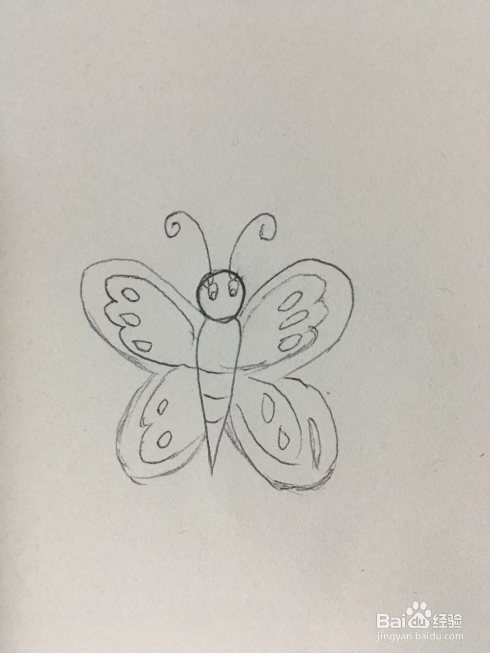 幼儿简笔画：美丽的蝴蝶