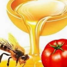 美白的方法有哪些