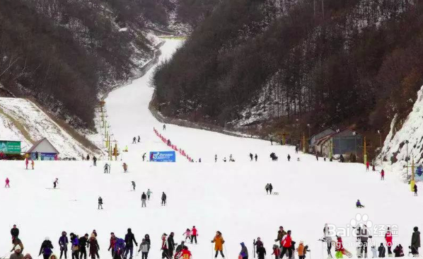 吉林蛟河金蟾岛怎么游玩？