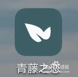 青藤之恋如何开启互动通知